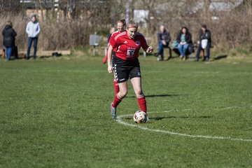 Bild 283 - F SG NieBar - IF Stjernen Flensborg : Ergebnis: 4:1